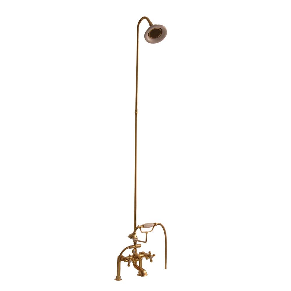 Barclay Elephant Spout, Riser, Showerhead, Crs Hdle, Polished Brass