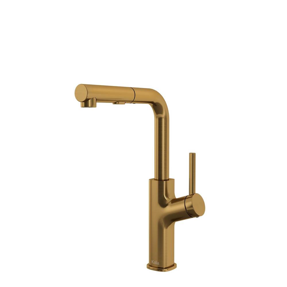 Kalia MASIMO surfer™ Single Handle Kitchen Faucet Pull-Out Dual SprayBrushed Gold
