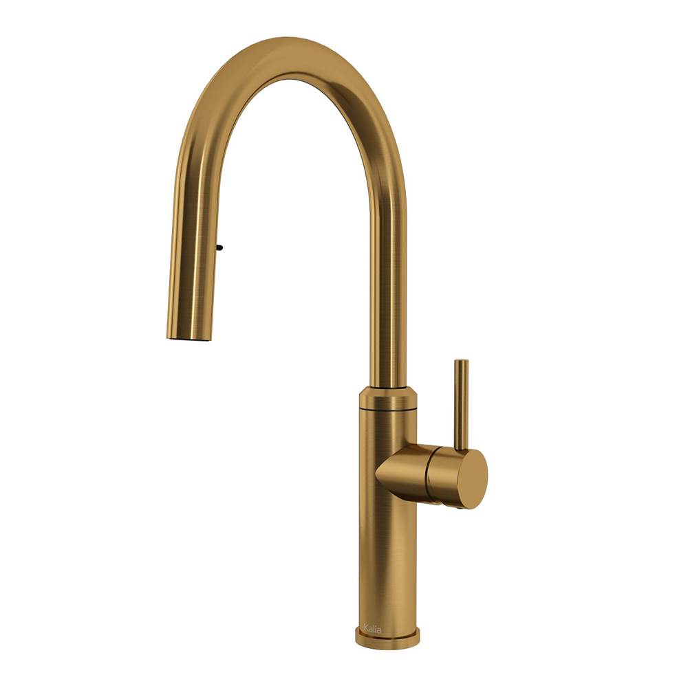 Kalia ENORA diver™ Single Handle Kitchen Faucet Pull-Down Dual Spray Brushed Gold