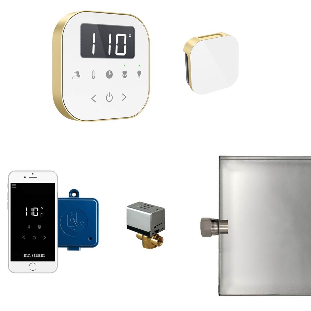 Mr. Steam AirButler Steam Shower Control Package with AirTempo Control and Aroma Glass SteamHead in White Satin Brass