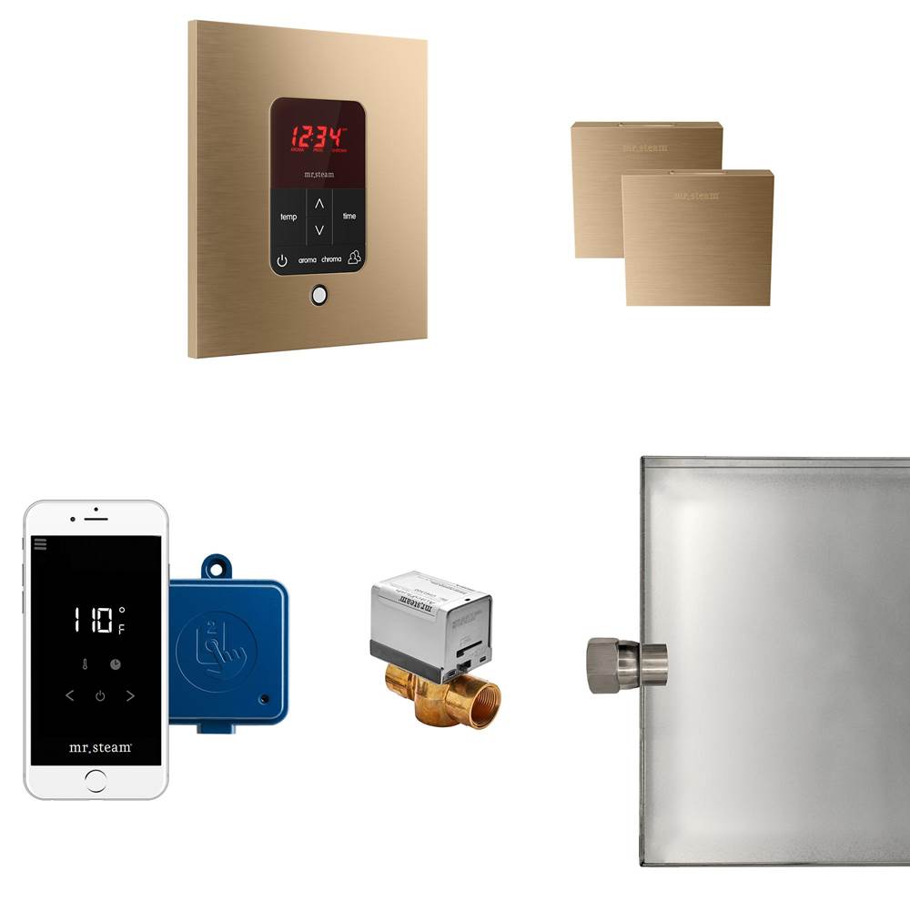 Mr. Steam Butler Max Steam Shower Control Package with iTempoPlus Control and Aroma Designer SteamHead in Square Brushed Bronze