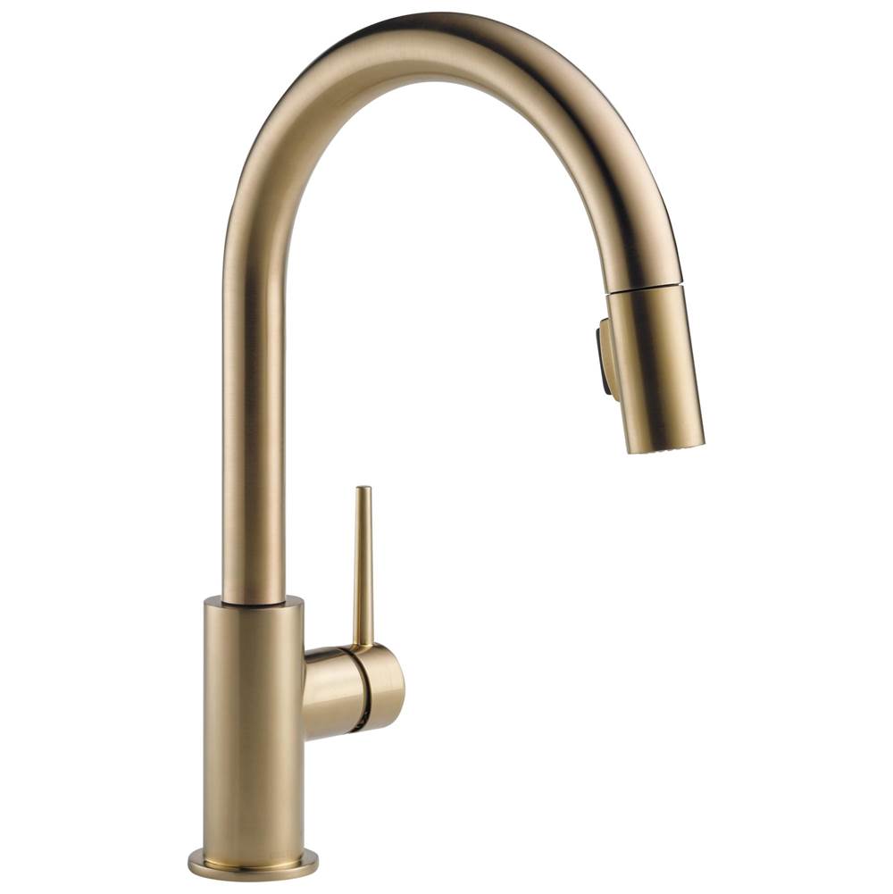Delta Faucet Trinsic® Single Handle Pull-Down Kitchen Faucet